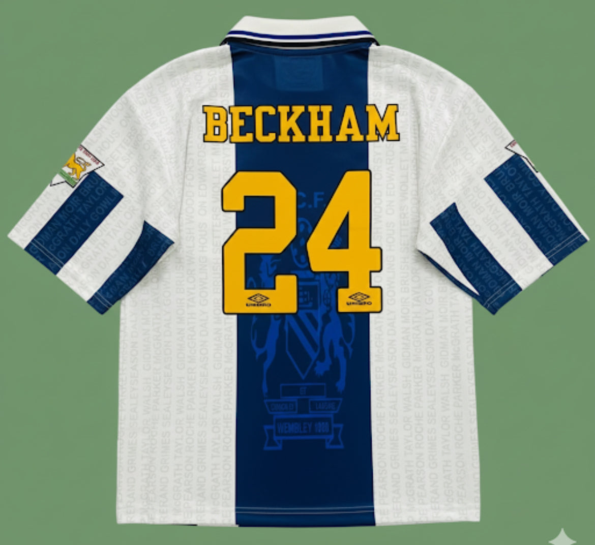 FIVE SLEEVE EMBROIDERY BECKHAM 24