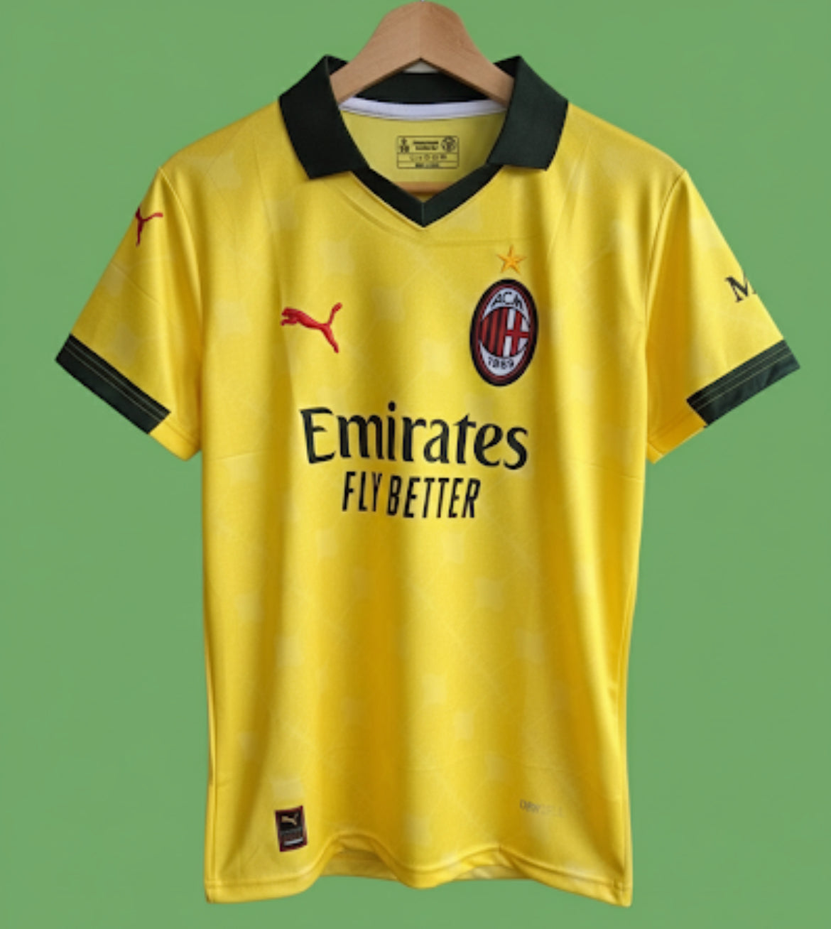 POLO EMBROIDERY RAFA LEAO HALF SLEEVE JERSEY