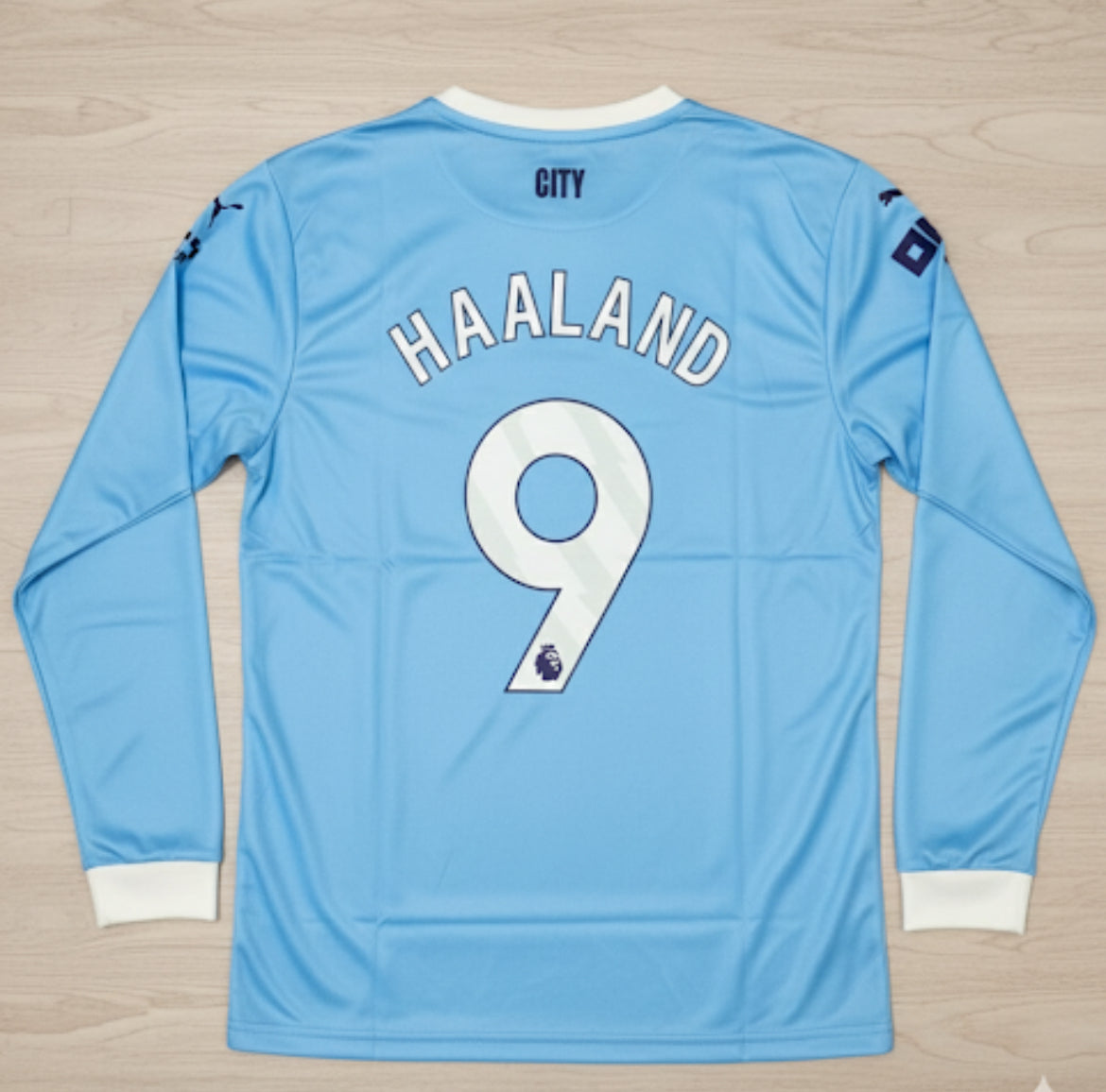 FULL SLEEVE HAALAND EMBROIDERY JERSEY