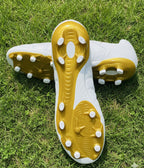 GOWIN FOOTBALL SHEO