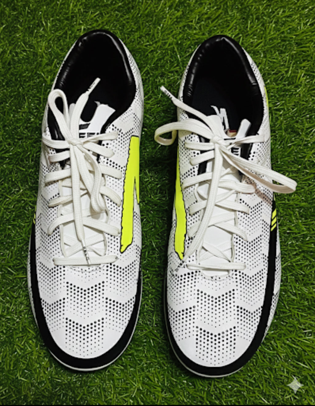 FELO FOOTBALL SHEO FOCUS 2.0
