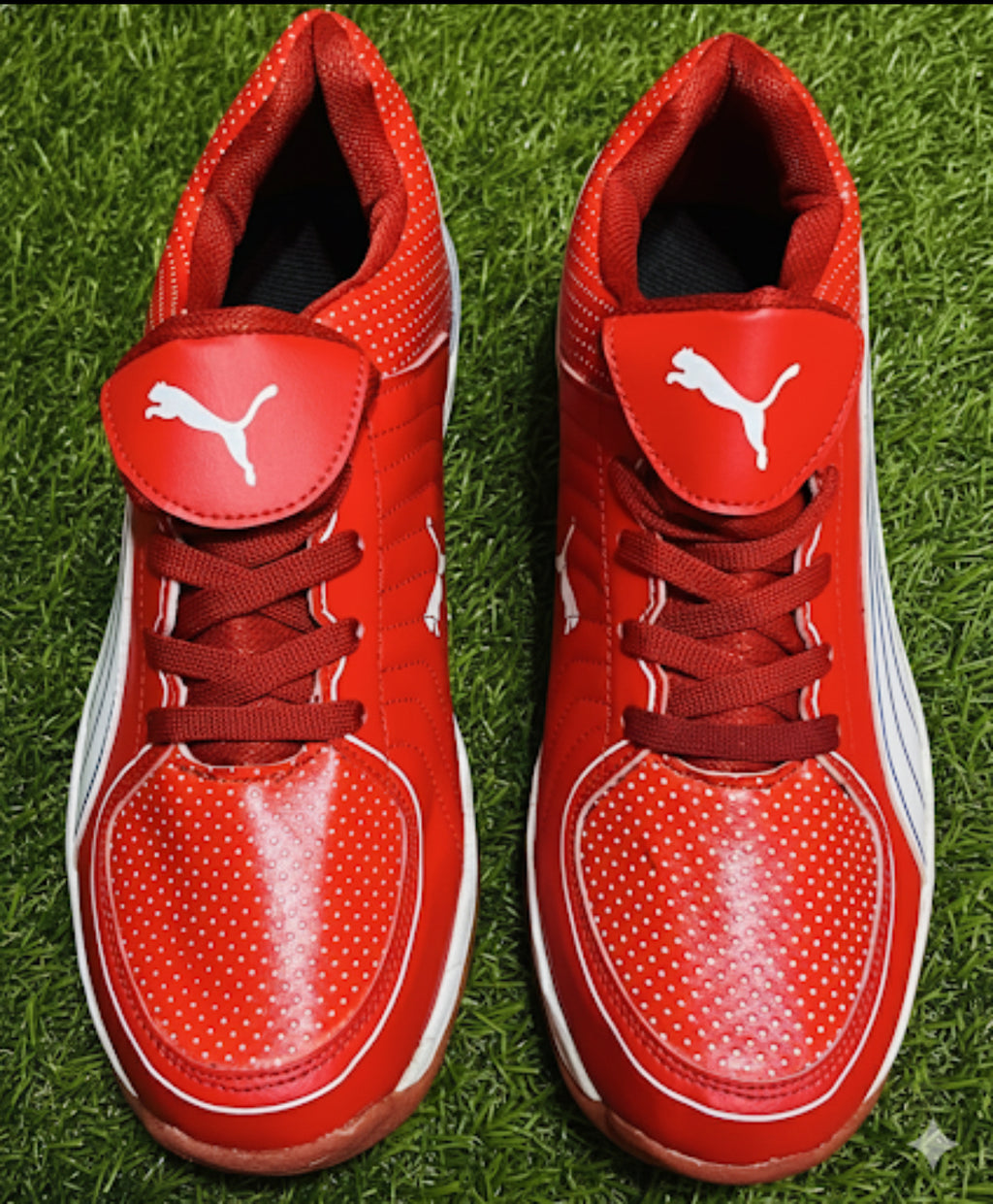 PUMA SHEO
