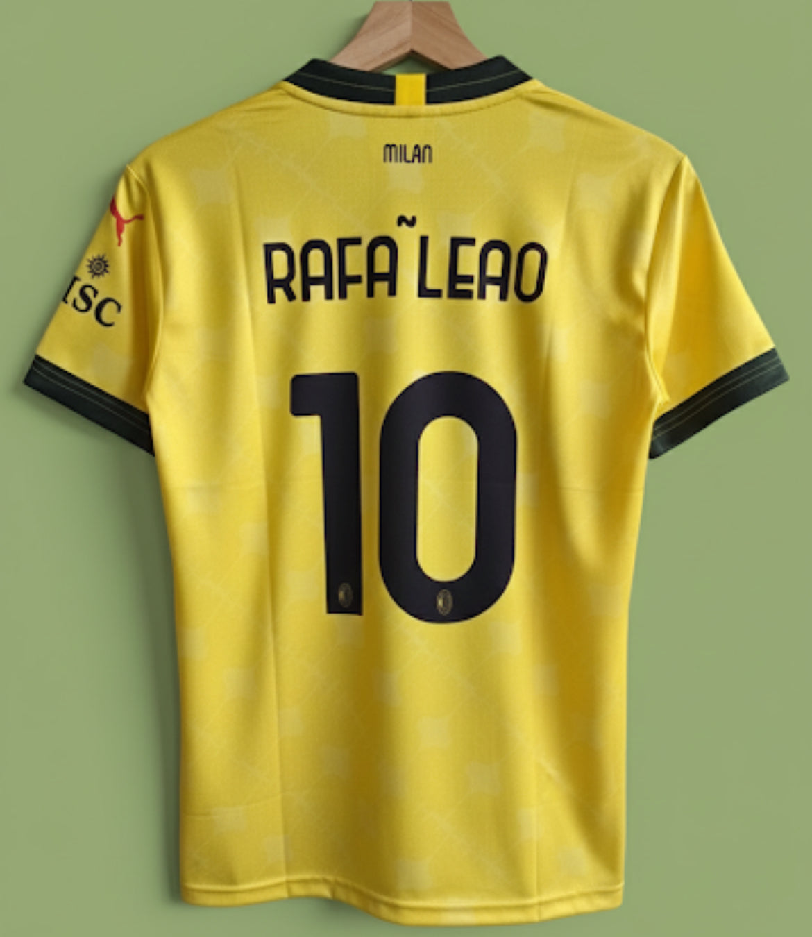 POLO EMBROIDERY RAFA LEAO HALF SLEEVE JERSEY
