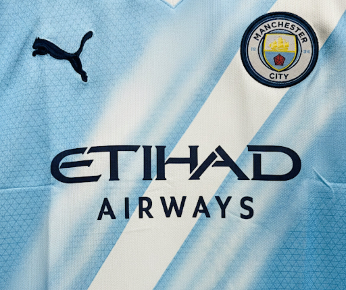 FULL SLEEVE HAALAND EMBROIDERY JERSEY